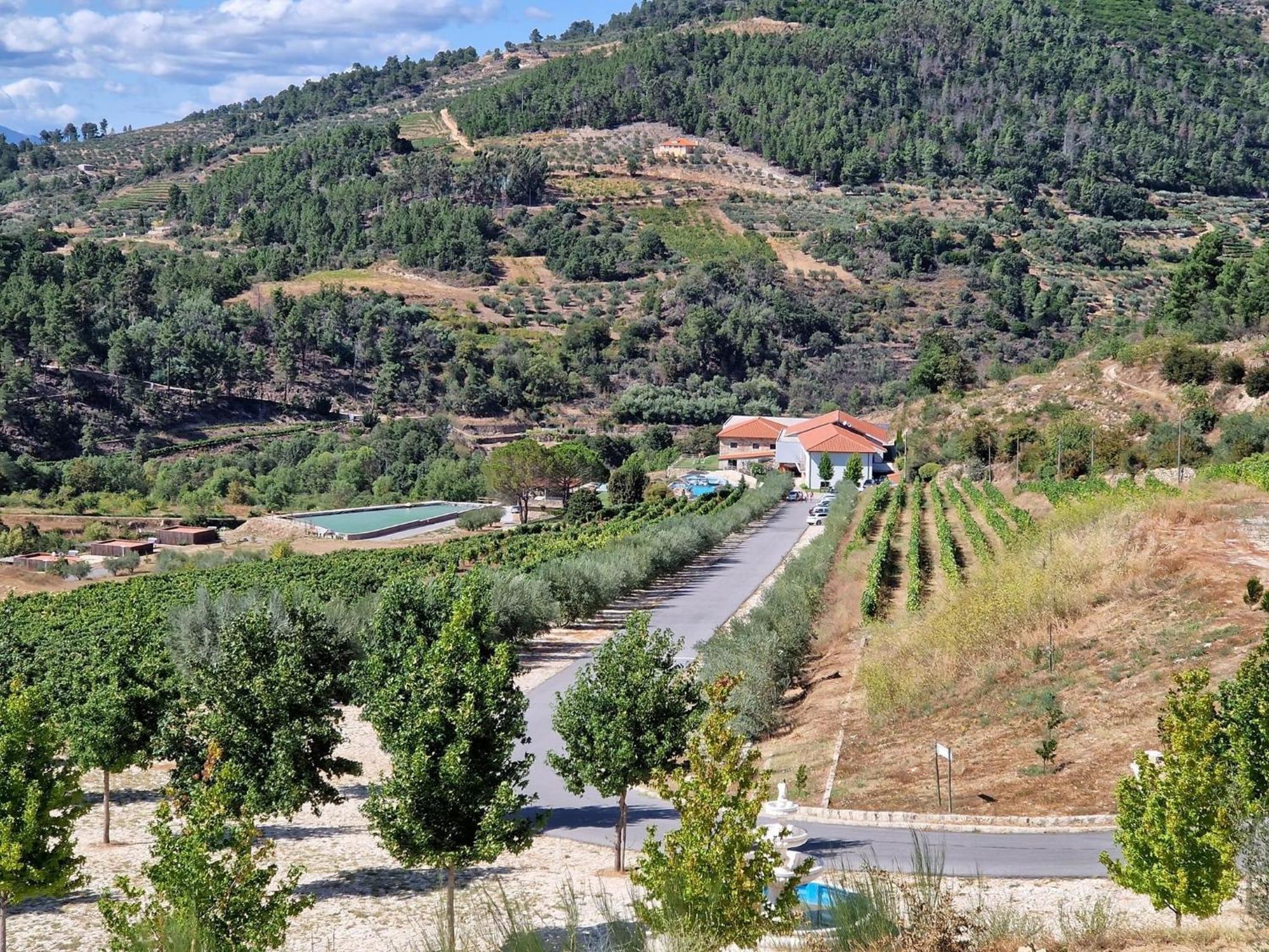 Douro Cister Hotel Resort Ucanha Екстер'єр фото